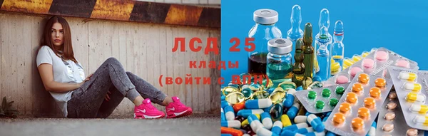 герыч Алзамай