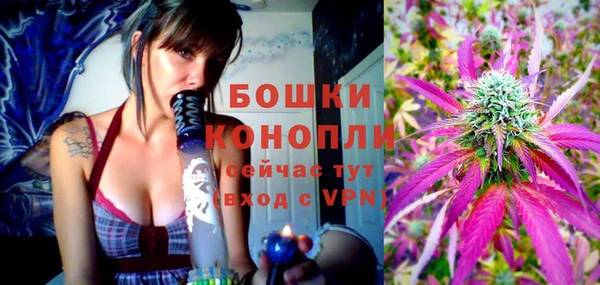крисы Абдулино