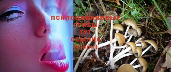 мескалин Абинск