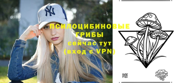 круглые Абаза