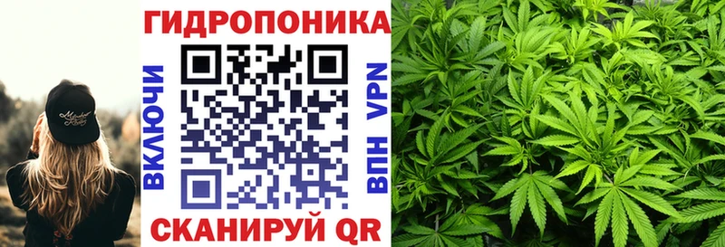 Конопля MAZAR блэк спрут как войти Чишмы нарко площадка какой сайт купить цена